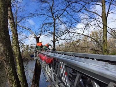 Foto des Albums: Einsatzbilder der Falkenseer Feuerwehr vom 31. März 2015
