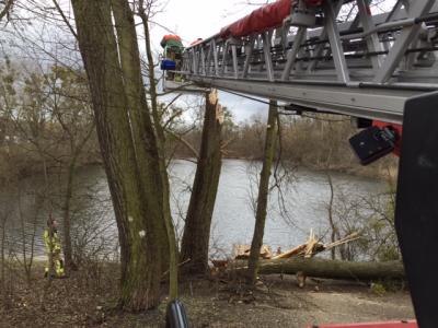 Foto des Albums: Einsatzbilder der Falkenseer Feuerwehr vom 31. März 2015