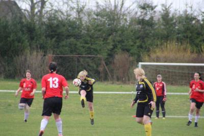 Foto des Albums: HSV - Falkenthal