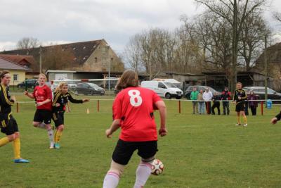 Foto des Albums: HSV - Falkenthal