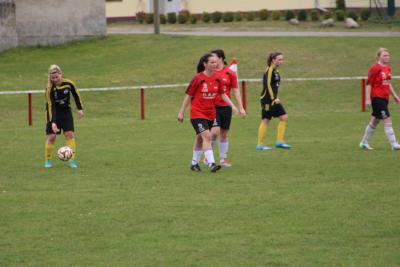 Foto des Albums: HSV - Falkenthal