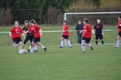 Foto des Albums: HSV - Falkenthal