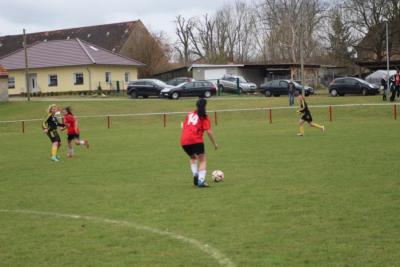 Foto des Albums: HSV - Falkenthal