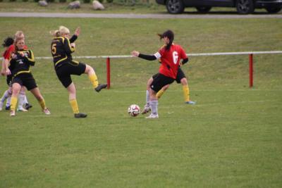 Foto des Albums: HSV - Falkenthal