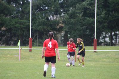 Foto des Albums: HSV - Falkenthal