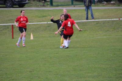 Foto des Albums: HSV - Falkenthal