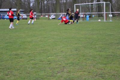 Foto des Albums: HSV - Falkenthal