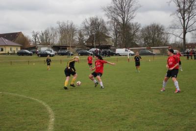 Foto des Albums: HSV - Falkenthal