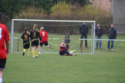 Foto des Albums: HSV - Falkenthal
