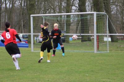 Foto des Albums: HSV - Falkenthal