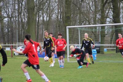 Foto des Albums: HSV - Falkenthal