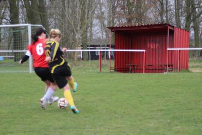 Foto des Albums: HSV - Falkenthal