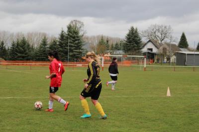 Foto des Albums: HSV - Falkenthal