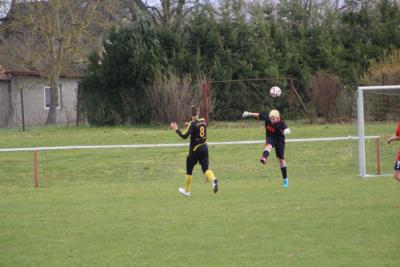 Foto des Albums: HSV - Falkenthal