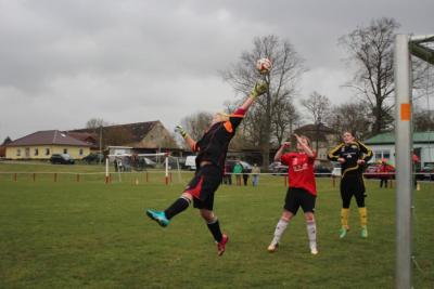 Foto des Albums: HSV - Falkenthal