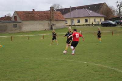 Foto des Albums: HSV - Falkenthal