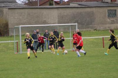 Foto des Albums: HSV - Falkenthal