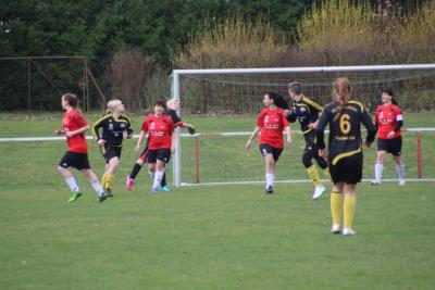 Foto des Albums: HSV - Falkenthal