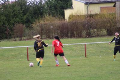 Foto des Albums: HSV - Falkenthal