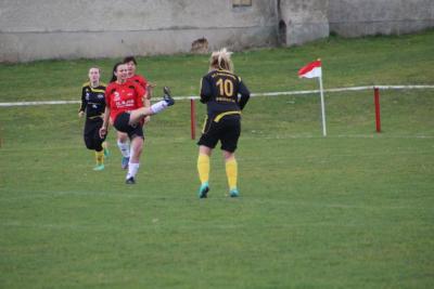 Foto des Albums: HSV - Falkenthal