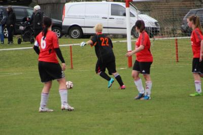 Foto des Albums: HSV - Falkenthal