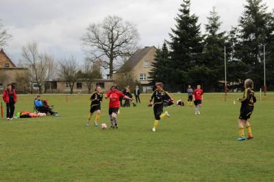 Foto des Albums: HSV - Falkenthal