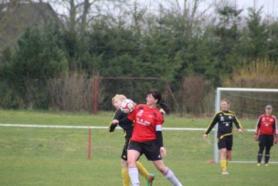 Foto des Albums: HSV - Falkenthal