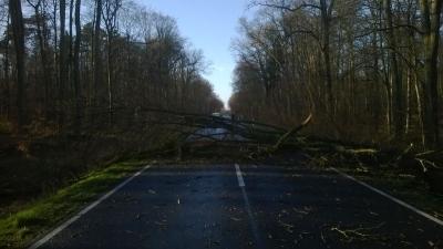 Foto des Albums: Sturmtief Niklas