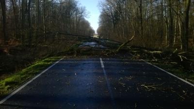 Foto des Albums: Sturmtief Niklas