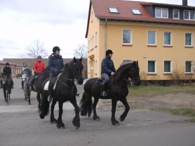 Foto des Albums: Osterritt 2015 (03.04.2015)