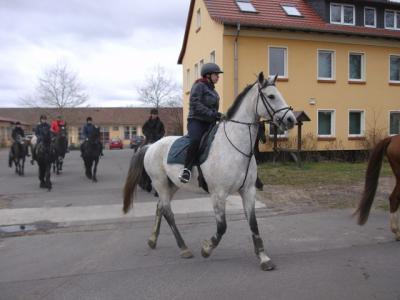 Foto des Albums: Osterritt 2015 (03.04.2015)