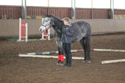 Foto des Albums: Bodenarbeit für Einsteiger (14.11.2015)