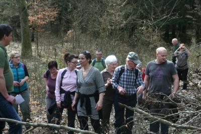 Foto des Albums: Frühlingswanderung Alt Daber (11.04.2015)