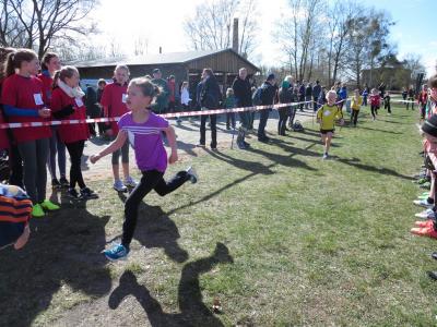 Foto des Albums: Crosslauf in Mildenberg