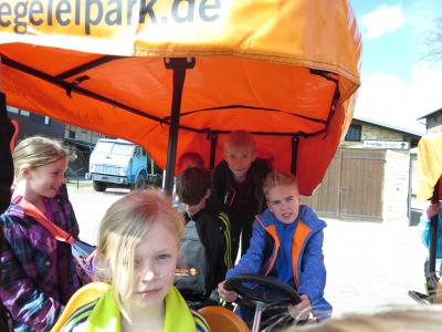 Foto des Albums: Crosslauf in Mildenberg