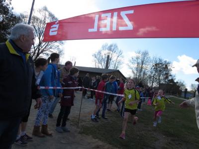 Foto des Albums: Crosslauf in Mildenberg