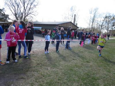 Foto des Albums: Crosslauf in Mildenberg