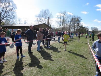 Foto des Albums: Crosslauf in Mildenberg