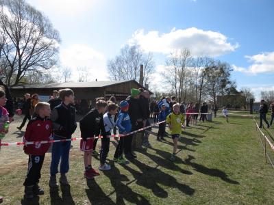 Foto des Albums: Crosslauf in Mildenberg
