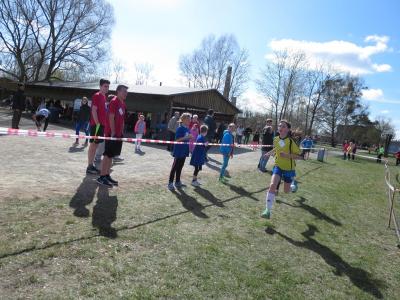 Foto des Albums: Crosslauf in Mildenberg