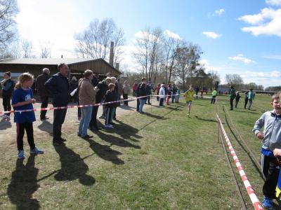 Foto des Albums: Crosslauf in Mildenberg