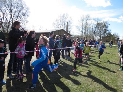 Foto des Albums: Crosslauf in Mildenberg