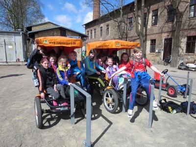 Foto des Albums: Crosslauf in Mildenberg