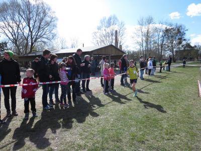 Foto des Albums: Crosslauf in Mildenberg