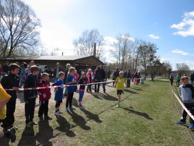 Foto des Albums: Crosslauf in Mildenberg