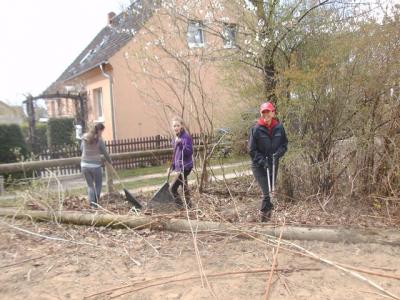 Foto des Albums: Arbeitseinsatz (18.04.2015)