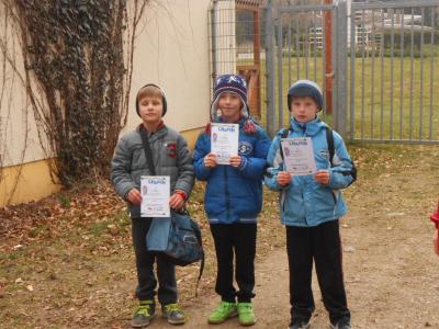 Foto des Albums: Schulcrosslauf