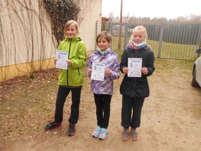 Foto des Albums: Schulcrosslauf