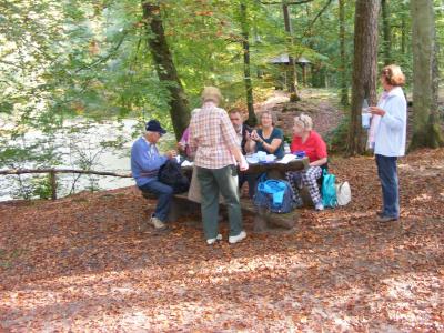 Foto des Albums: 2014 Herbstwanderung (03.10.2014)