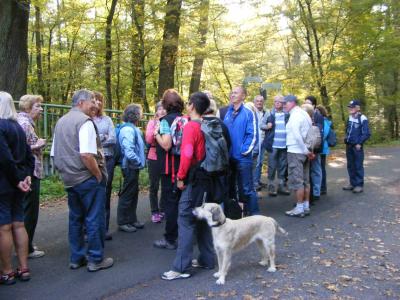 Foto des Albums: 2014 Herbstwanderung (03.10.2014)